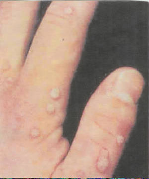 scan0001.jpg